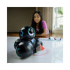 Wonder Workshop Dash & Cue Robots Sketch Kit