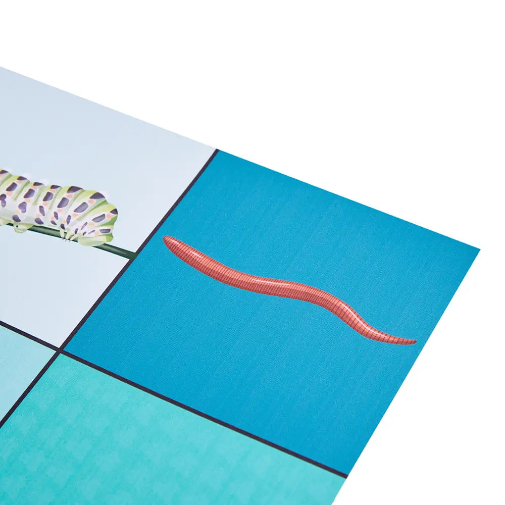 Loti-Bot Minibeasts Activity Mat – Educational STEM Playmat Compatible with Loti-Bot, Bee-Bot and Blue-Bot