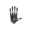 BrainCo Revo2 Basic 5-Finger Hand w/ RGB Camera for G1-D (Right)