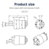Yahboom 520 DC Gear Motor with Encoder 550RPM(1:19)-Separate motor