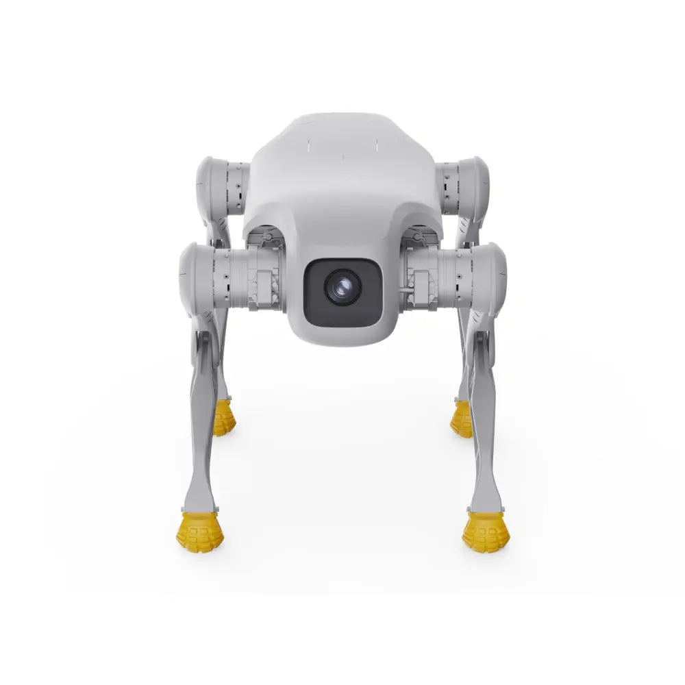 AgiBot D1 Pro Quadruped Robot Dog