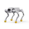AgiBot D1 EDU Quadruped Robot Dog (Development Edition)