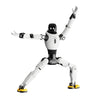 AgiBot X2 Ultra Humanoid Robot