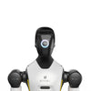 AgiBot G2 Wheeled Humanoid Robot