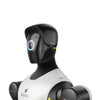 AgiBot G2 Wheeled Humanoid Robot