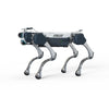 Deep Robotics X30 Pro Industrial Quadruped Robot