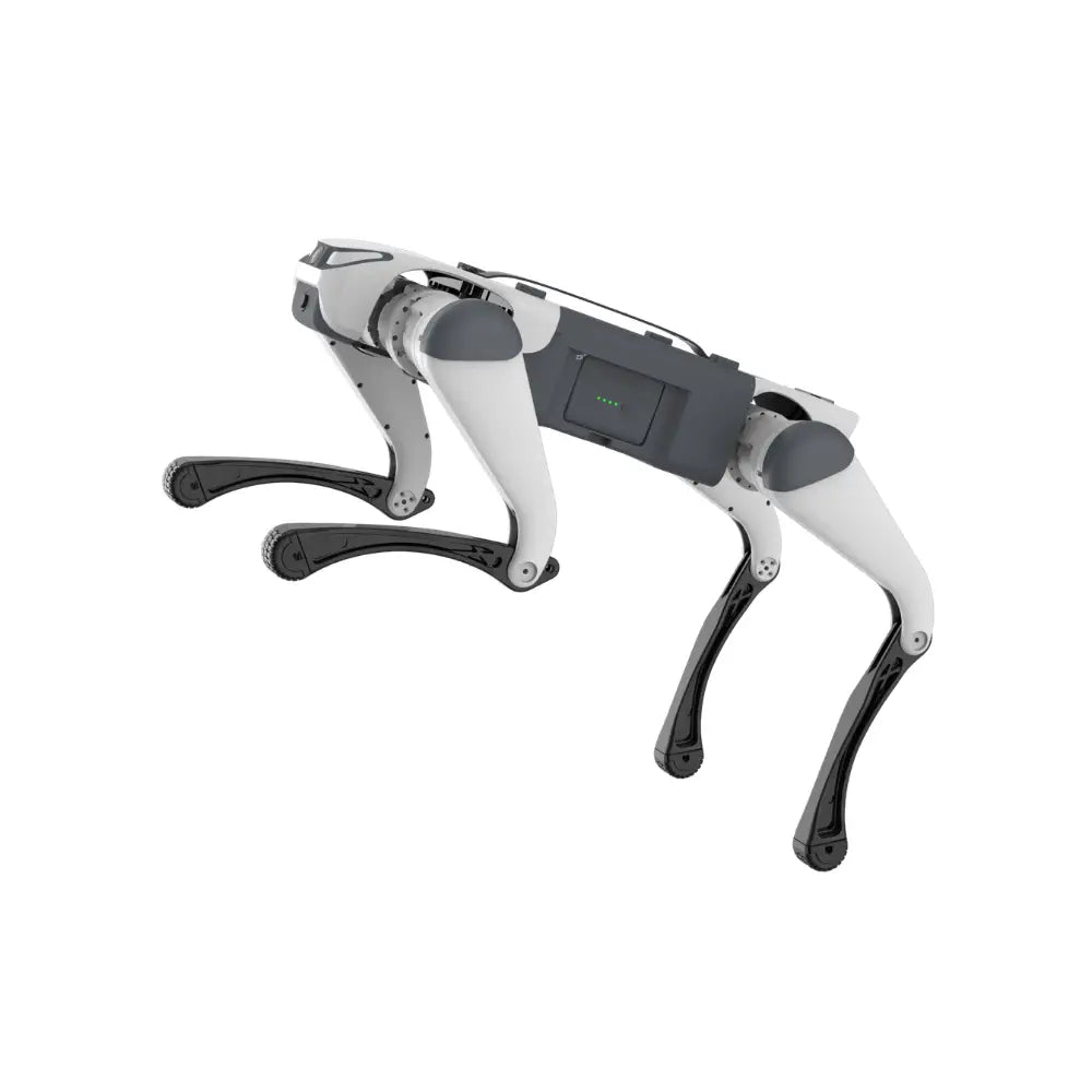 Deep Robotics Lite3 Basic Quadruped Robot