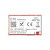 E70-433NW30S 433MHz 1W Star Network SMD Wireless Module