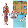 TTS Blue-Bot Coding Toy Robot See &amp; Say Version with 3 Activity Play Mats Bundle (Human Body, Zoo, Transparent Grid Mat 4x4-No Pockets)