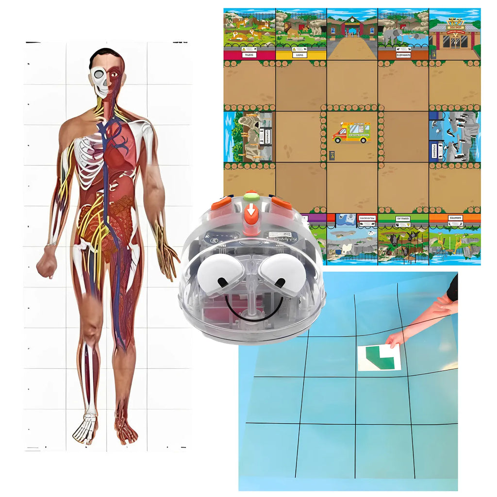 TTS Blue-Bot Coding Toy Robot See &amp; Say Version with 3 Activity Play Mats Bundle (Human Body, Zoo, Transparent Grid Mat 4x4-No Pockets)