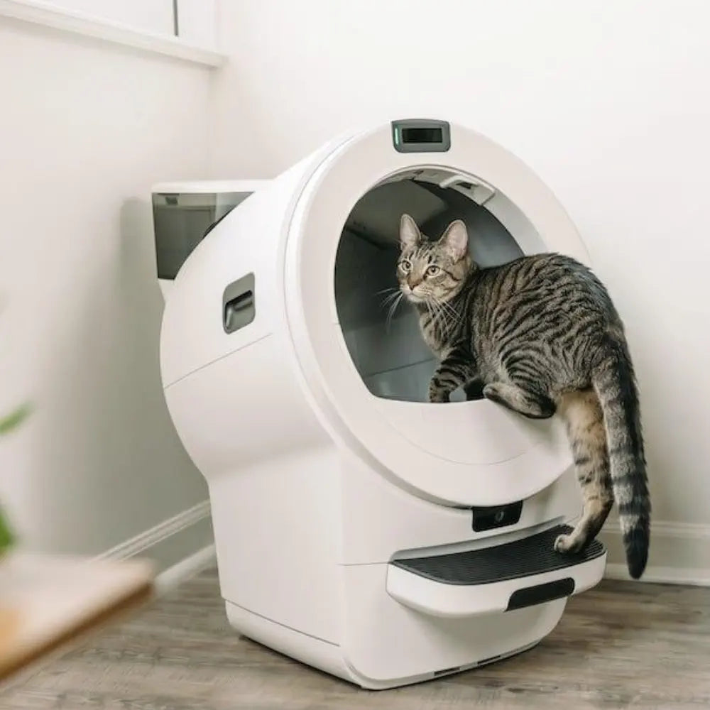 Litter-Robot 5 Hopper (White)