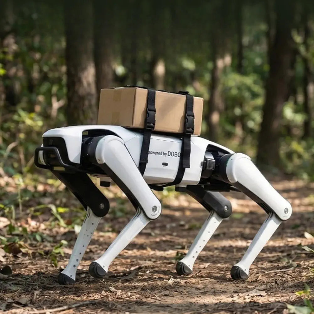 Dobot Rover X1 Explorer Quadruped Robot