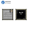 LoRa Wireless Spread Spectrum Module Ra-09H Support LoRaWAN Prototcal STM32WLE5CCU6 Chip