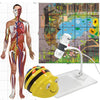 TTS Bee-Bot Science Bundle Programmable Robot with 2 Activity Mats and Flex-View Digital USB Microscope - STEM Learning Coding Robotics for Kids Age 3+