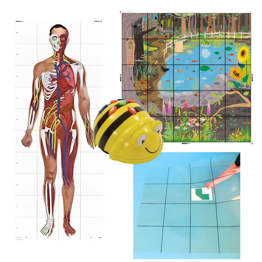 TTS Bee-Bot Programmable Robot with Human Body Mat, Wildlife Garden Mat, Transparent Grid Mat(No Pockets) Bundle - STEM Learning Coding Robot Toy for Kids Age 3+ Years
