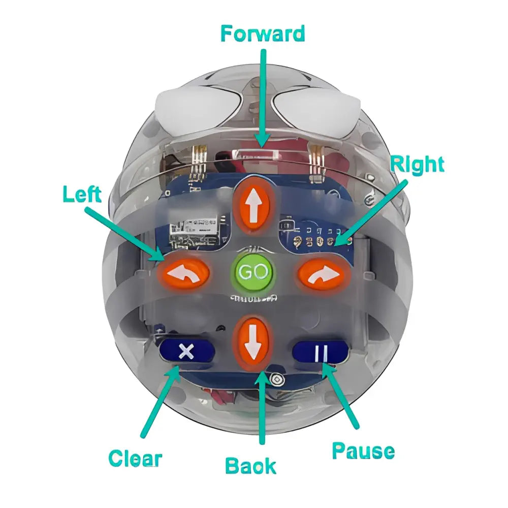 Blue-Bot Bluetooth Programmable Floor Robotics &amp; Tactile Reader Pro Classroom Coding Bundle