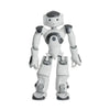 Maxtronix NAO6 Humanoid Robot