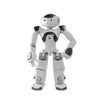 Maxtronix NAO6 Humanoid Robot