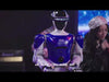RB-Cas-05 - Video