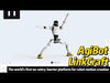 RB-Agb-34 - Video