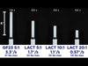 RB-Pol-1773 - Video
