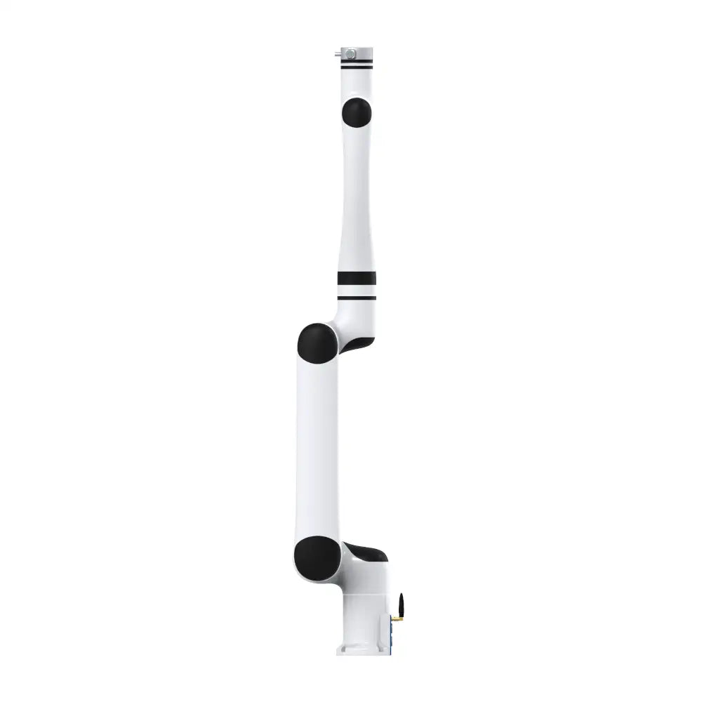 RML63-6F — image 5