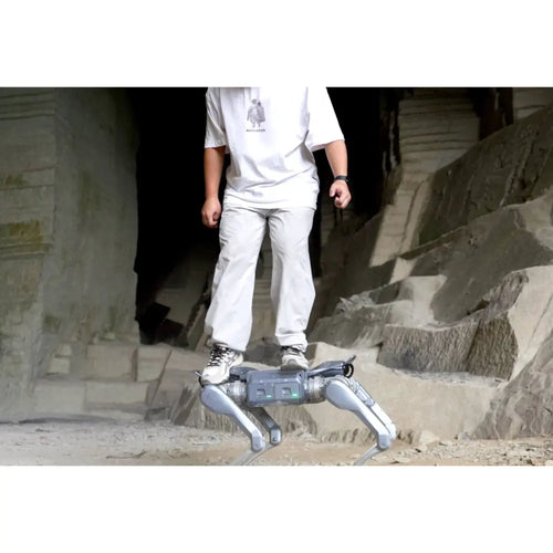 Unitree A2 PRO Robotic Dog