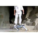 Unitree A2 Robotic Dog