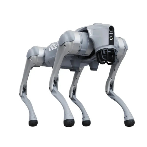 Unitree Go2 X Robotic Dog