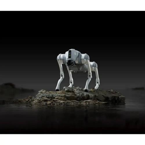 Unitree Go2 X Robotic Dog