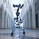 Unitree R1 EDU (U2) Humanoid Robot