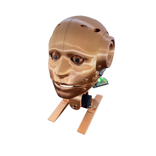 Youbionic Robot Head