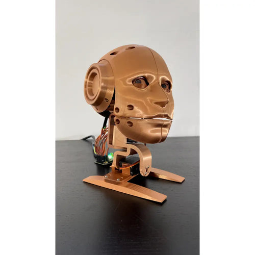 Youbionic Robot Head