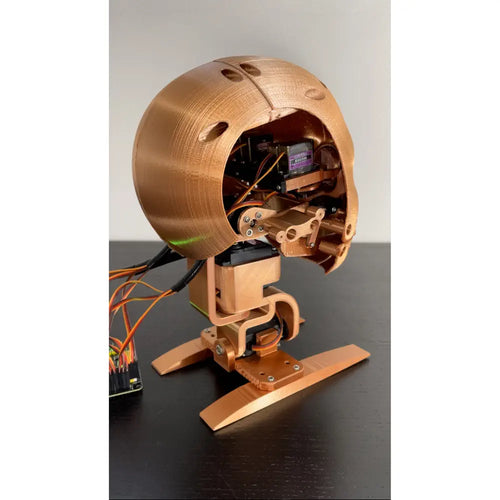 Youbionic Robot Head